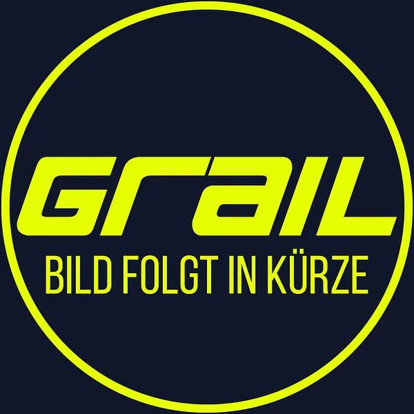 Grail Klappenabgasanlage Ford Mustang Gen. 7 (4 Rohr) Xtreme