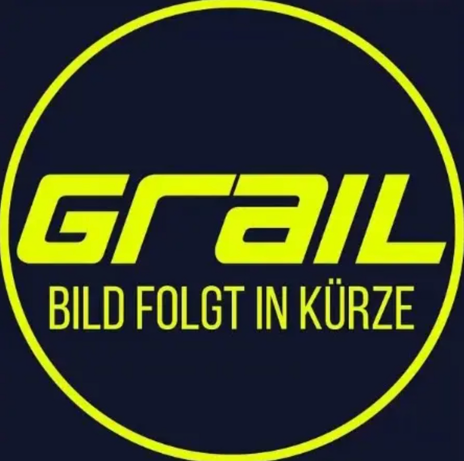 Grail 3 Zoll Klappenabgasanlage Audi S5 F5