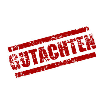 Gutachten Hurricane Abgasanlage Schweiz CH